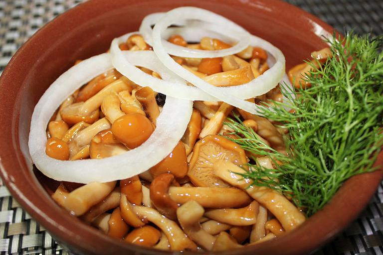 Грибы «Опята» ОПТ фото 1