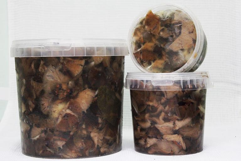 Грибы «Опята» ОПТ фото 3