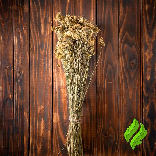 Сбор трав «Тысячелистник» для бани опт фото 1