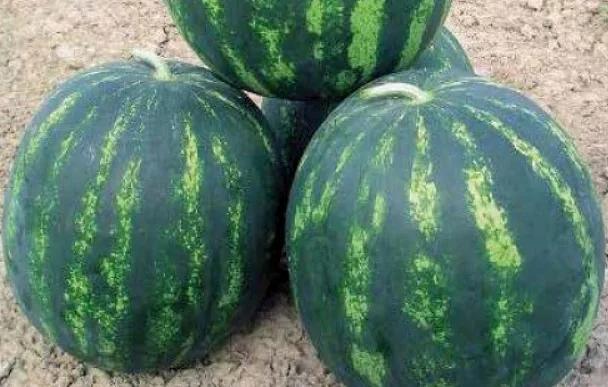 Семена арбуза Бонта F1 Seminis 1000 семян ОПТ фото 1