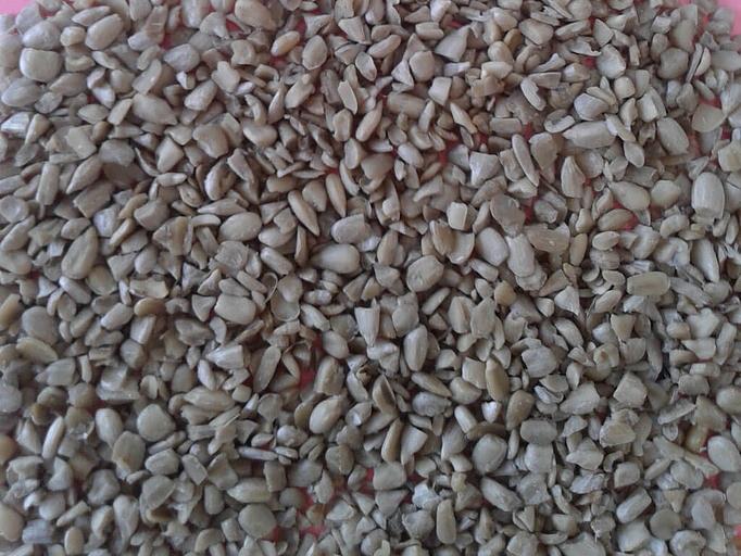 Лом ядра подсолнечника ОПТ фото 1