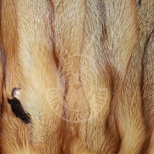 Шкурки лисицы (п/ф) «Красная» опт фото 1