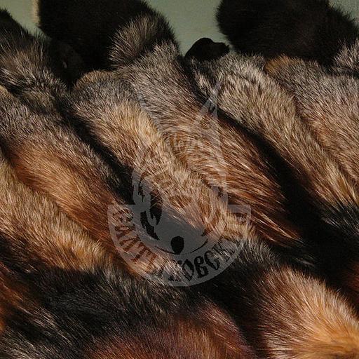 Шкурки лисицы окрашенные (п/ф) «Сиводушка» опт фото 1