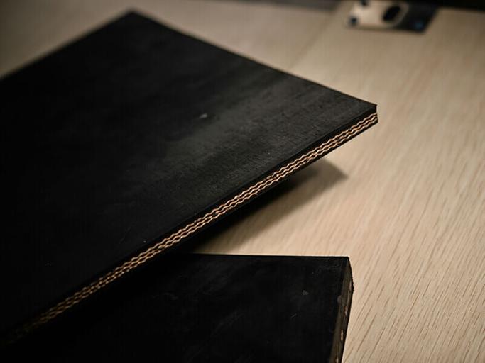 Пищевые конвейерные ленты фото 6