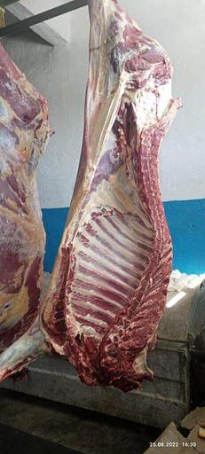 Конина четвертина замороженная ОПТ фото 2