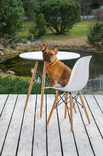 Стул Leon ажурный белый 1 шт фото 3