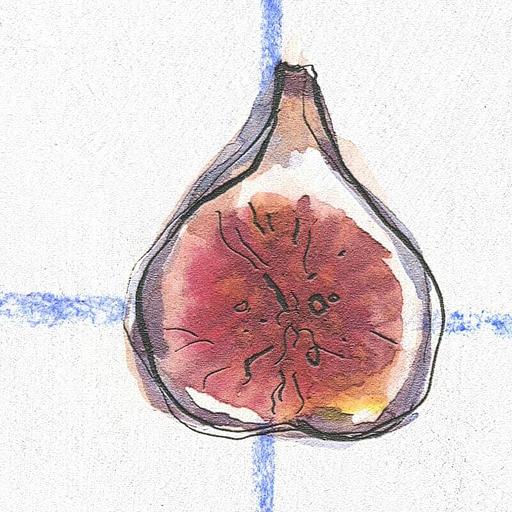 Обои fichi опт фото 7