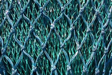 Дель ниточная узловая 187х2 капроновая фото 2