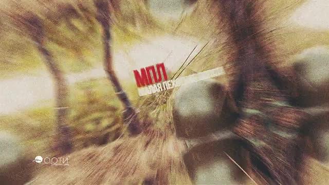 Малая пехотная лопата МПЛ-500, туристическая фото 5