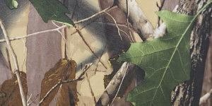 Оксфорд 240D WR PU Printed фото 1