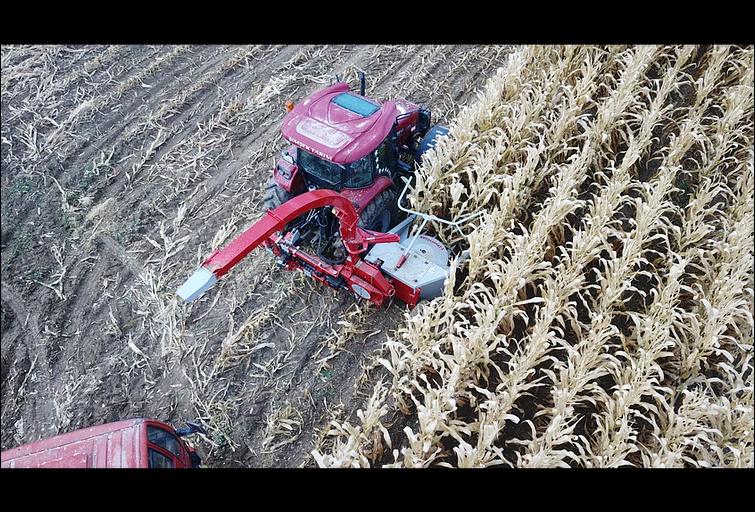 Кукурузный силосоуборочный комбайн фото 2