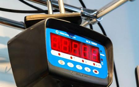 Крановые весы ВСК-А (100 килограмм) фото 2