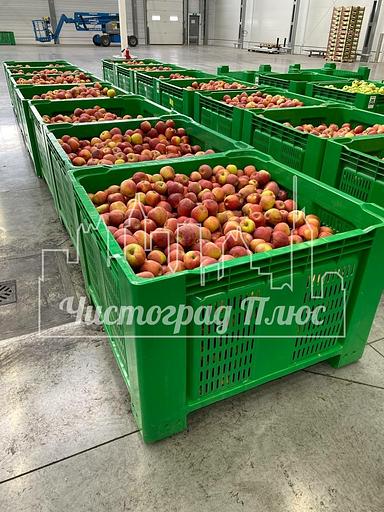 Ящик-поддон пластиковый 1120x1120x770 Apple box фото 5