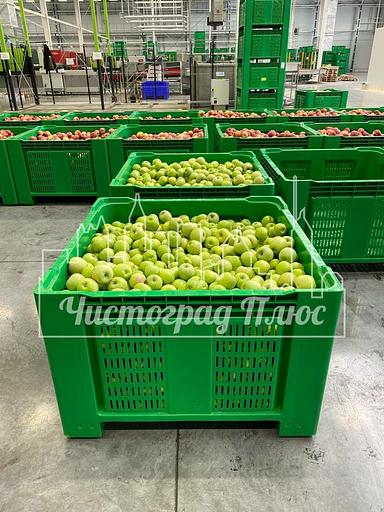 Ящик-поддон пластиковый 1120x1120x770 Apple box фото 7