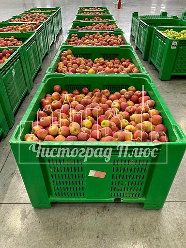 Ящик-поддон пластиковый 1120x1120x770 Apple box фото 9