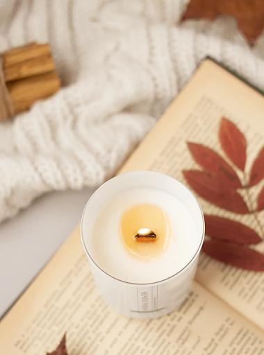 Свеча ароматическая Aesthete home «Black Currant» 250 мл ОПТ фото 1