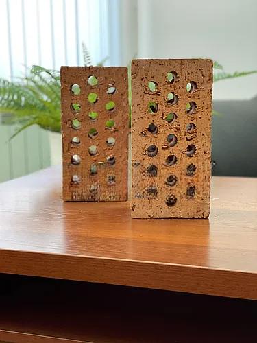 Кирпич керамический пустотелый полуторный М-125 250х120х88 мм (Миновский Завод) фото 1