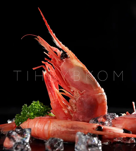 Магаданская креветка 400 г, размер 50/80 в/м, Pandalus Borealis, глазурь до 14 % ОПТ фото 2