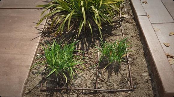 Трубка кап. adi коричн. ø16-2,2l/h-0,33м (1.15) в бухте 100 м Metzerplas фото 3