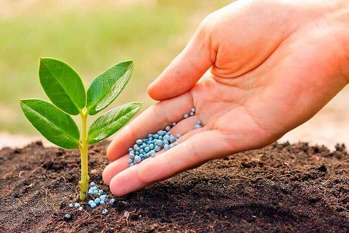 Минеральные удобрения: Карбамид, Селитра, Калий, НПК, Диаммонийфосфат фото 1