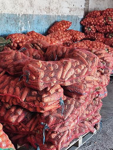 Морковь столовая свежая Шантанэ фото 1