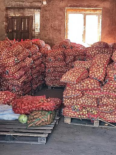 Лук репчатый свежий фото 1