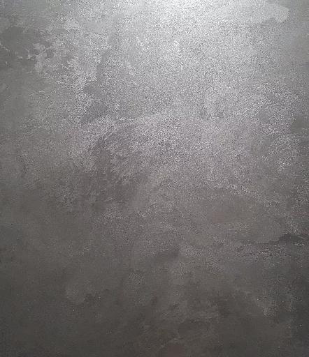 «Тығыз жібек» сәндік жабыны фото 3