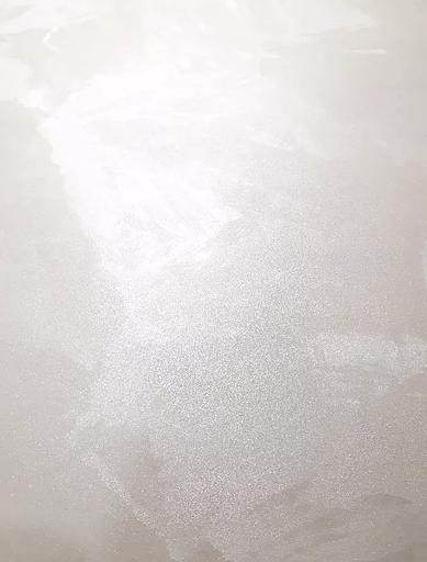 Декоративное покрытие «Classic silk» фото 2