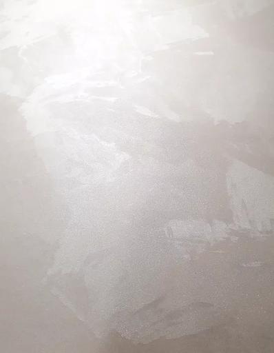 Декоративное покрытие «Classic silk» фото 4