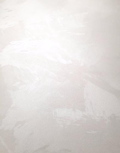 Декоративное покрытие «Classic silk» фото 5