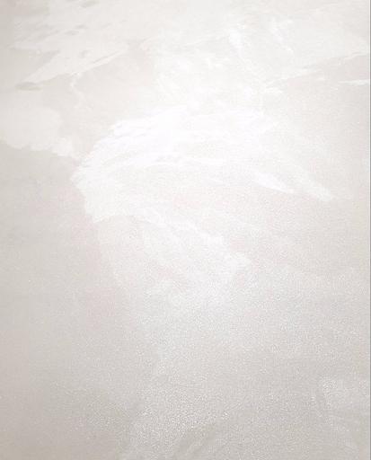 Декоративное покрытие «Classic silk» фото 6