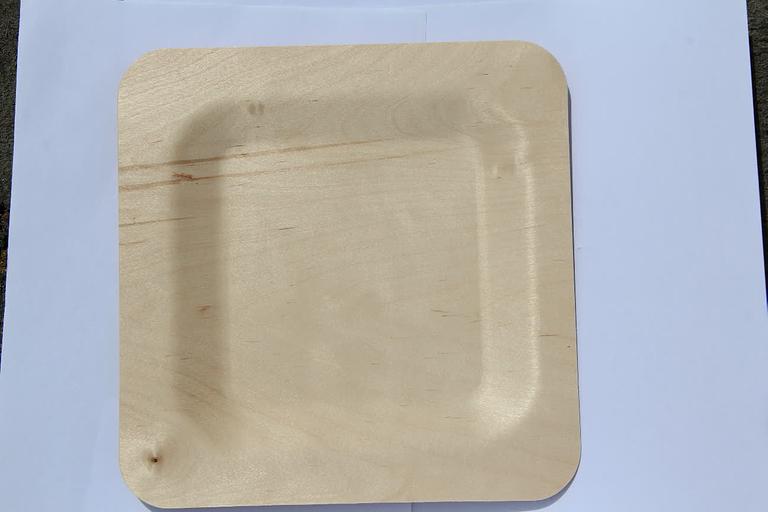 Тарелка для главных блюд одноразовая, квадратная 230 мм фото 4