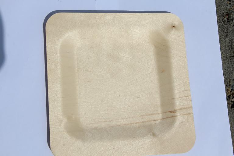 Тарелка для главных блюд одноразовая, квадратная 230 мм фото 5