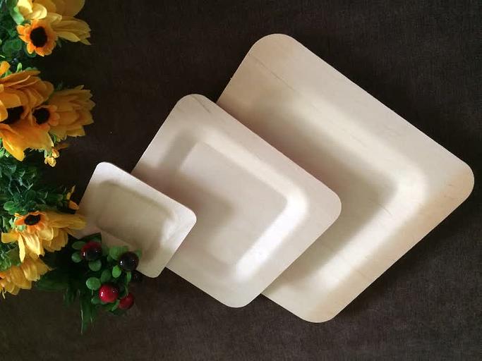 Тарелка для главных блюд одноразовая, квадратная 230 мм фото 6