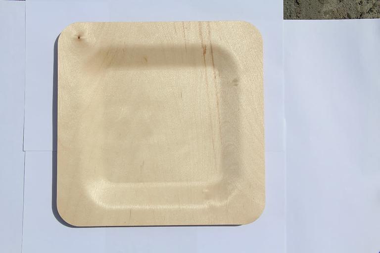 Тарелка для главных блюд одноразовая, квадратная 230 мм фото 7