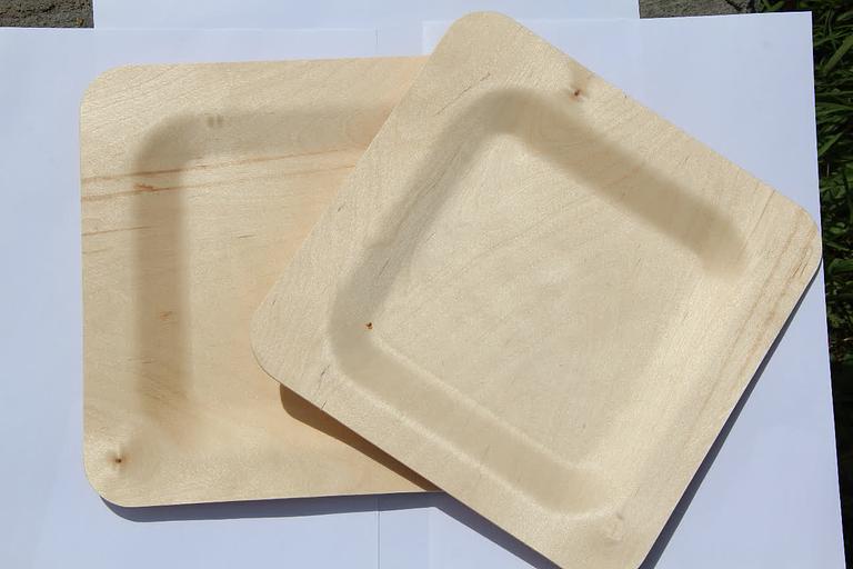 Тарелка для главных блюд одноразовая, квадратная 230 мм фото 8