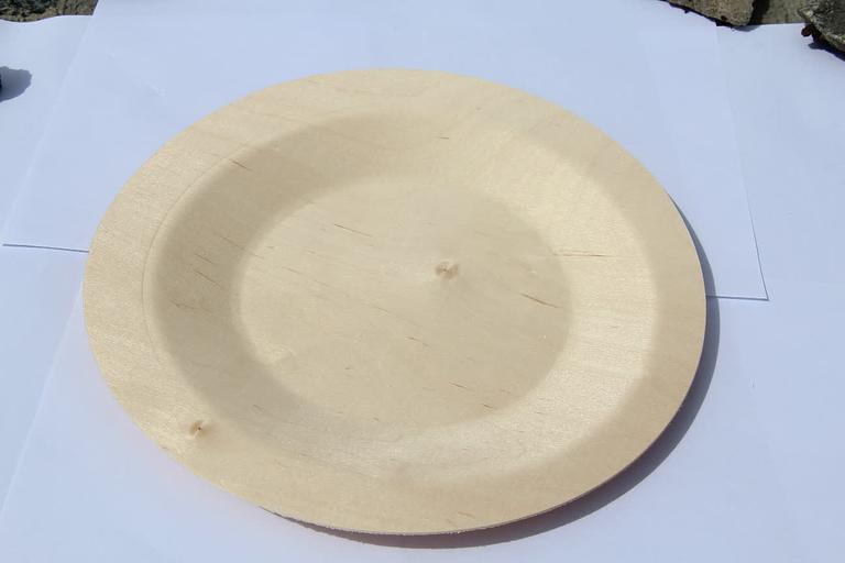 Тарелка для главных блюд одноразовая, круглая 230 мм фото 3