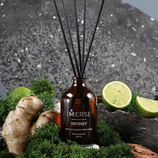 Ароматический диффузор Immerse «Odyssey» 100 мл ОПТ фото 1