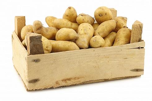 Картофель продовольственный 1-й сорт мытый фото 1