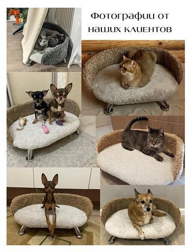 Лежанка-диван для животных «Лея-голубой» ОПТ фото 5