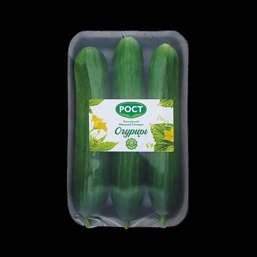Среднеплодный огурец гладкий Мева подложка 600 г ОПТ фото 1