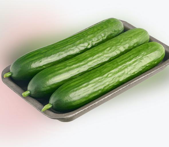 Среднеплодный огурец гладкий Мева подложка 600 г ОПТ фото 2