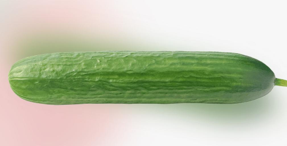 Среднеплодный огурец гладкий Мева подложка 600 г ОПТ фото 4