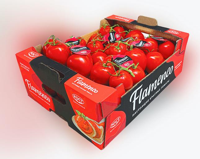 Томат сливовидный Фламенко на кисти ОПТ фото 1