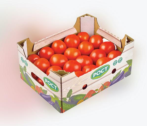 Томат круглый высший сорт ОПТ фото 1