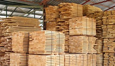 Деревообработка полного цикла в Москве фото 2