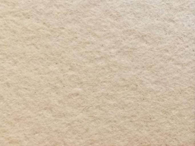 Полиуретановые конвейерные ленты фото 7