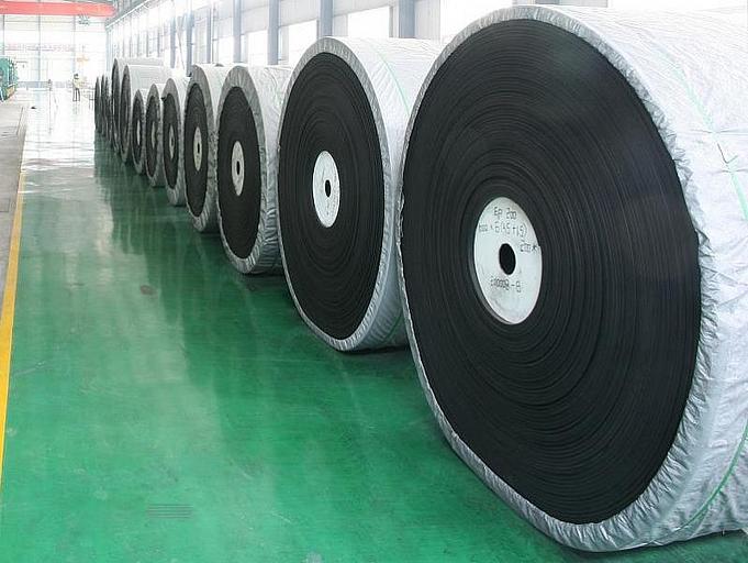 Морозоустойчивая конвейерная лента фото 6