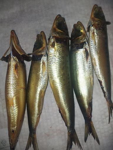 伊瓦西冷熏 фото 1