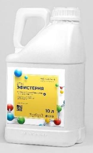 Деструктор «Эфистерня» фото 1